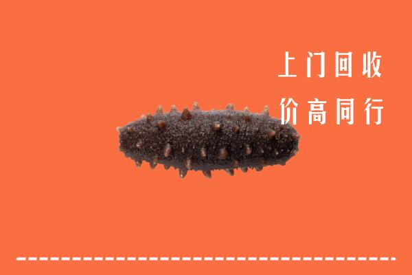 高价求购：凉山回收海参