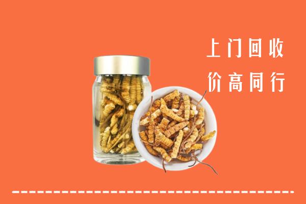 凉山回收冬虫夏草